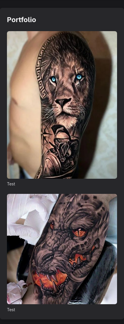 Artist Profile - Portfolio